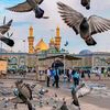 ali.waris5343