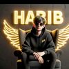habibarain74