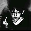 ipulnihh13