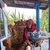 umi09295