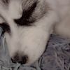 lilian_music2
