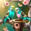 user365215051877
