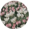 13april22apri