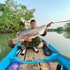 mimin angler