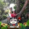 yenvypham8
