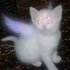 cute_keto4ka