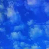 thesky804