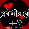 user8441199630628