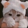 hellooo_imacat
