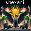 shexani.shexani5