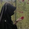 ❤️মায়াবতী💔⛎