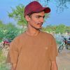musa_7274