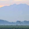 dhiancok_7