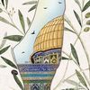 mostafa13206