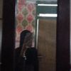 ama_sukakucing