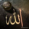 user6228100662570