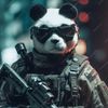pandadennis5