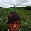 user17951810370412