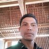user65777266925847