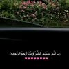 manar_sh19