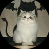 _2rogermon