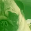 volar_bebe666