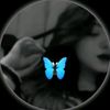 offline29315