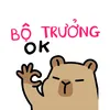 Bộ trưởng bộ rìviu 👌🏼