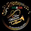 mariachisinaloashow