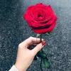 user6136137253076