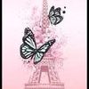 user8054214962271