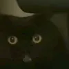 ijnstkm