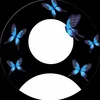 bndq_12