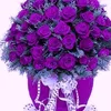 user8562050367918