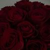 roses_violets8