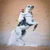 alshaaeir_aladeb