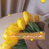 user6160329402920