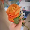 nkl_589