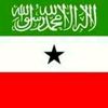ahmedjaceyl4