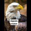 alejandro.ortega16