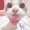 kk_4guya_