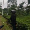 hatersawan