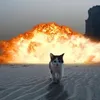 slideshowhntr