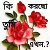 rahbn3