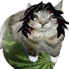 norisnoko