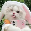 nngoc_tramanh