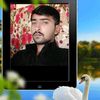 zakir.hussain39