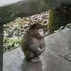letuongnghess