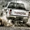 shadyar_104