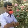 salmanabdullahi978